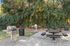 Serene outdoor area with picnic tables and modern grills set against lush green foliage, perfect for gatherings and relaxation.
