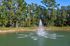 Serene pond with a lively water fountain surrounded by lush green trees under a clear blue sky, offering a tranquil and picturesque setting.
