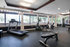 Modern fitness center with state-of-the-art equipment, large windows providing natural light, and a serene outdoor view.