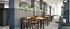 Modern communal dining area with elegant lighting, sleek tables and chairs, and lush greenery enhancing the inviting atmosphere.