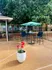 Charming outdoor patio with elegant seating and vibrant flowers under a leafy tree, offering a peaceful and inviting atmosphere.