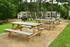 Charming outdoor area with wooden picnic tables amidst lush greenery, perfect for relaxation and community gatherings.