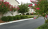 Charming apartment exterior with beautifully landscaped garden and vibrant flowering shrubs, offering serene residential ambiance.