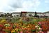 Vibrant floral courtyard with colorful blooms against charming apartment buildings, offering serene community living.