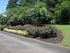 Inviting entrance garden with vibrant blooms and lush greenery leading to the leasing office.