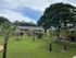 Charming apartment complex with lush greenery, towering palm trees, and spacious outdoor areas under a beautiful blue sky.