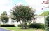 Charming apartment complex surrounded by lush greenery and vibrant flowering trees, providing a tranquil living environment.