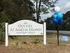 Welcome to Odyssey at Amelia Island Apartment Homes with vibrant balloons, showcasing modern living and now leasing opportunities.