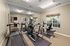 Bright and modern apartment gym with state-of-the-art treadmills and cardio machines, complemented by large windows and mirrors.