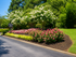 Langley Place entrance with vibrant landscaping featuring blooming white and pink flowers, lush greenery, and a welcoming pathway under a clear blue sky.