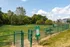 Dog Park