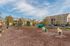 Dog Park