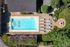 Aerial view of a vibrant pool area with lounging chairs, lush greenery, and a fire pit at Oxford West.
