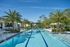 Luxurious outdoor swimming pool area surrounded by palm trees and elegant lounge chairs, offering a tropical escape and relaxation under a clear blue sky.