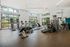 Modern fitness center with state-of-the-art equipment, well-lit space, and large windows showcasing a vibrant outdoor view.