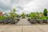 Charming community garden with raised planters, lush greenery, and inviting seating area under a cloudy sky.