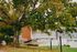 Charming backyard with a cozy hammock under a large tree, perfect for relaxation in a quaint neighborhood setting.