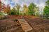 Vibrant outdoor dog park featuring agility equipment under colorful autumn trees, perfect for pet-friendly living.