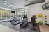 Contemporary fitness center with large windows, modern cardio equipment, and vibrant exercise balls for a dynamic workout experience.