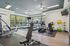 Modern fitness center with state-of-the-art equipment, natural lighting, and vibrant exercise balls.
