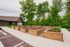 Charming community garden area with wooden raised beds surrounded by lush greenery, perfect for nature enthusiasts.