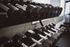 Modern gym featuring a sleek rack of black dumbbells, perfect for a dynamic workout experience.
