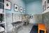 Modern pet wash station with stylish decor, featuring tiled walls, grooming table, and vibrant orange bench.