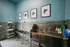 Modern pet grooming station with stylish dog silhouette art, equipped with a sleek stainless steel sink and organized storage.
