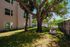 Charming backyard oasis featuring a large, mature tree, lush green grass, and modern fencing, perfect for serene outdoor relaxation.