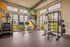 Modern fitness center with state-of-the-art exercise equipment, large windows, and vibrant wall design offering a bright and energetic workout space.