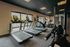 Modern fitness center with state-of-the-art treadmills, stationary bikes, and weight machines overlooking a scenic outdoor view.