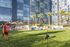 The Grad San Jose - Outdoor Lawn