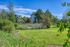 Grassy area