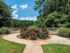 sundeck surrounded by landscaping and huge trees