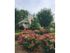 Raleigh North Carolina Apartments for Rent | VERT at Six Forks