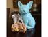 Pet-Friendly Apartments | Apartments in Raleigh | VERT at Six Forks