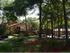 Lovely Living Spaces | Northlake Apartments