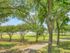 luxury apartments las colinas | one bedroom apartments las colinas | three bedroom apartments for rent las colinas | two bedroom for rent las colinas