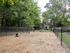 Community Bark Park | Apartment in Charlotte, NC | Berkshire Place