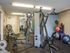 Community Fitness Center | Apartment in St Louis Park, MN | Cityscape