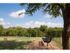 Relaxing Community Bark Park | Apartment in Grand Prairie, TX | Parkways on Prairie Creek