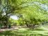 San Antonio TX Apartment Homes | Escalante