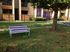 Community Bark Park | Apartment in Denton, TX | Eagle Creek