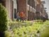 Gramercy on the Park | North Bark Dog Park | One and Two bedroom Apartments | Dallas