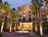 An tall building overlooks a courtyard filled with palm trees and a fountain |  Mirasol at Celebration