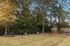 Dog Park