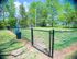Dog Park