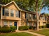 exterior ashberry