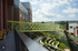 Collegetown Terrace