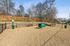 Inviting fenced-in dog park with playful green tunnel and benches, surrounded by lush trees and wooden fencing.